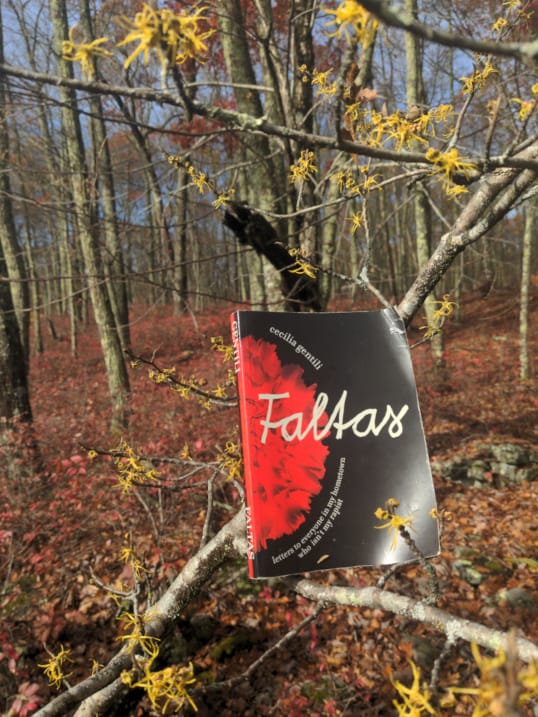 A copy of Faltas by Cecilia Gentili, black with a prominent red flower and white text. The book rests on a witch hazel branch with small yellow flowers, and in the background a purple hillside of blueberries showing their fall colors