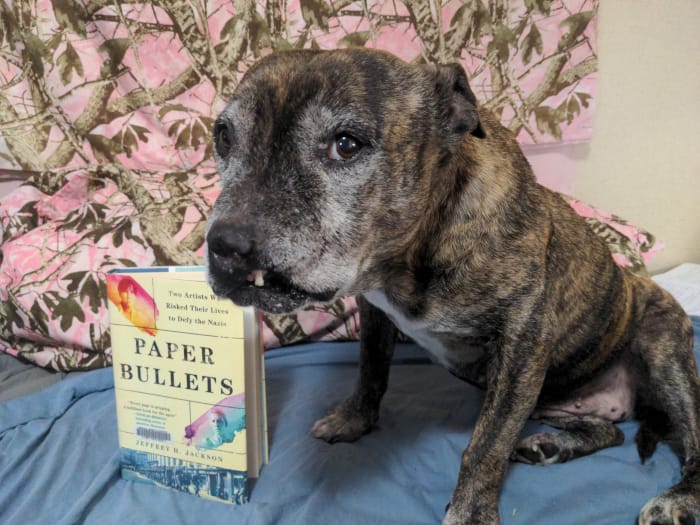 Darlene, my eldery reverse-brindle pitbull, looks at me with annoyance as I make her pose in front of the book Paper Bullets. A pink real tree patterned sheet hangs in the background. On the cover of the book, Moore and Cahun both appear in splashes of color around the title.